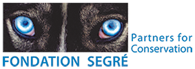 Fondation Segre