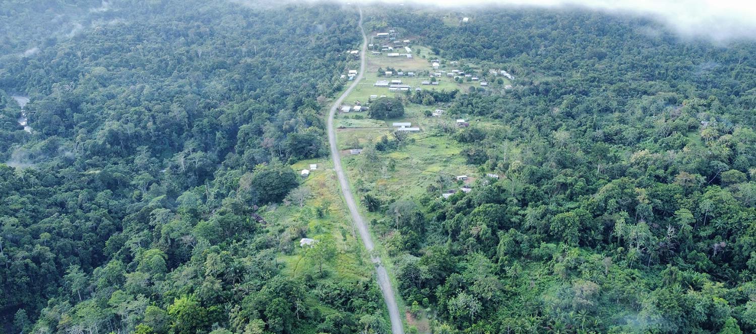 Forest around Lumi