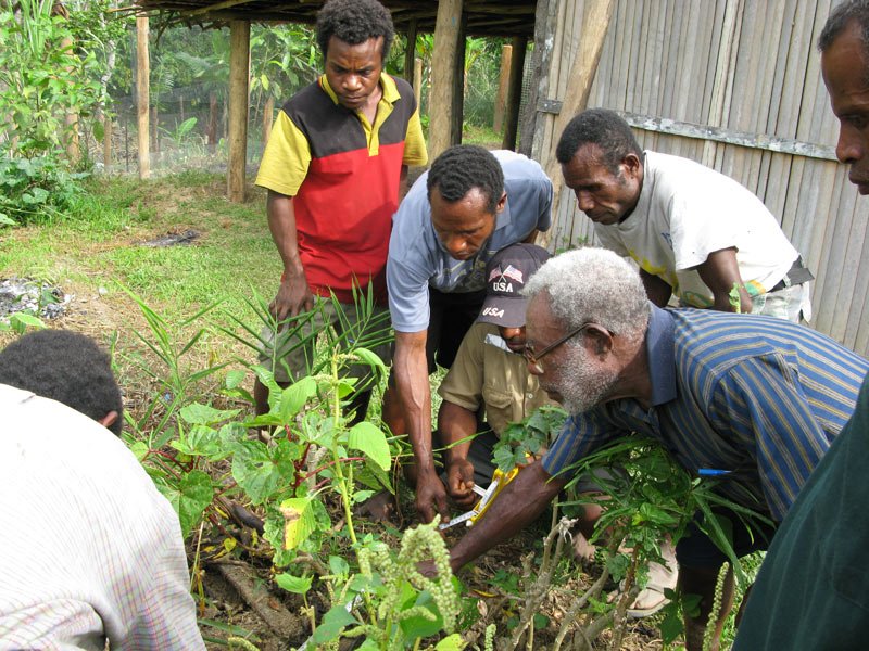 TCA gardening program